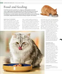 The Cat Encyclopedia - мініатюра 22