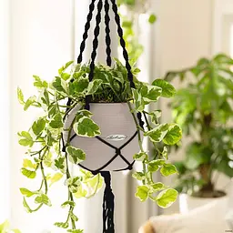 Підвіс Lechuza Macramé BOHO 90 чорний (13878) - мініатюра 4