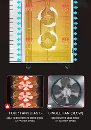 Дегідратор сушарка комерційний Food Dehydrator SS - 32H для овочів фруктів м'яса грибів 32 лотки 3000Вт - мініатюра 4