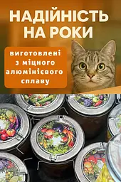 Комплект зажимів для консервування тушонки та м'яса затискач кришка для банок Харків (10 шт.), RS 83758 - мініатюра 3