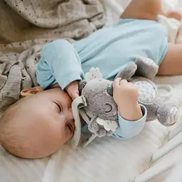 Дитяча музична м’яка іграшка-підвіска із заспокійливою мелодією Коала Коко від народження BabyOno 1632 - мініатюра 4