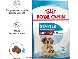 Сухий корм для цуценят та собак середніх порід Royal Canin Medium Starter 1 кг 2993010 - мініатюра 3