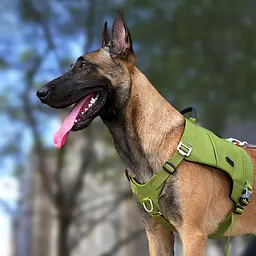 Шлейка для собак Truelove TLB2251 світловідбивна, з водонепроникної тканини Cordura, регульована Оливковий, XL - мініатюра 7