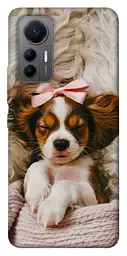 TPU чохол Demsky Sleepy spaniel для Xiaomi 12 Lite