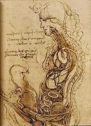 Leonardo. The Complete Paintings and Drawings - мініатюра 11