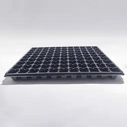 Касета для розсади 43,5×32,5×4 см, пластикова, 99 V-осередків (30 см³), без піддону