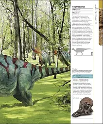 Dinosaurs and Prehistoric Life. The Definitive Visual Guide - мініатюра 10