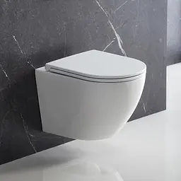 Унітаз Omnires Ottawa 49x37 rimless підвісний сидіння дюропласт white gloss OTTAWAMWBP, Білий - мініатюра 2