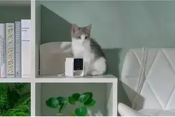Камера відеоспостереження за домашніми тваринами Petcube Cam CC10US [87035] - мініатюра 7