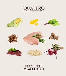 Корм Quattro Cat Sterilized Chicken для стерилізованих котів з куркою 1.5 кг - мініатюра 3
