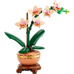 Конструктор LEGO Botanicals Міні орхідея 274 деталі (10343) - мініатюра 3