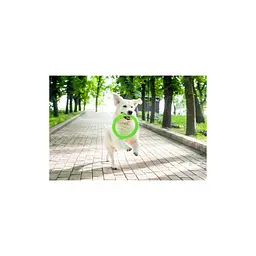 Іграшка для собак Collar PitchDog Кільце для апортування 17 см салатове (62365) - мініатюра 3
