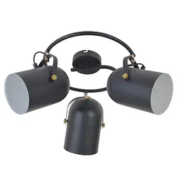 Світильник Brille стельовий спот поворотний HTL-209/3G E27 BK
