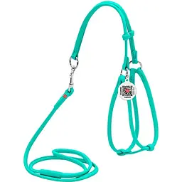 Шлея з повідцем для собак Waudog Glamour, шкіряна, кругла, з QR паспортом, 42-60х46-64х0,6/105 см, ментоловий (340213)