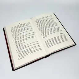Остання місис Перріш - Константін Лів | Vivat, книга українською, нова, тверда - мініатюра 3