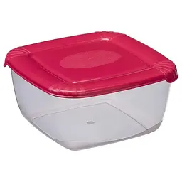 Контейнер Plast Team Polar квадратний 145х145х71 мм 0.95 л (1675) - мініатюра 2
