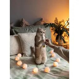 Вітамінна паста GimCat Expert Line Relax для котів, 50 г - мініатюра 8