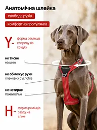 Шлея для собак Duomm No-Pull з повідцем, регульована та світловідбивна червоний, XL - мініатюра 5