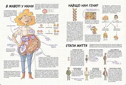 Тіло людини. Як це працює? Нікола Кухарська kni0003890 - мініатюра 3
