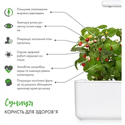 Змінний картридж Click & Grow Smart Garden Суниця, 3 капсули (7410) - мініатюра 3
