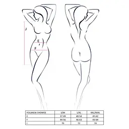 Прозора сорочка з довгим рукавом Passion YOLANDA CHEMISE XXL/XXXL, pink, трусики - мініатюра 5