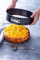 Форма Pyrex Daily для випічки роз'ємна 25 см kuh0015951 - мініатюра 2