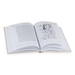 Мандри Василя Григоровича-Барського на Святу Гору Афон - мініатюра 4