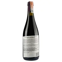Вино игристое Distina Bason frizzante red, червоне, сухе, 13 %, 0,75 л (890332) - мініатюра 2