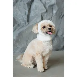Шапка для собак Pet Fashion Teddy S біла - мініатюра 3
