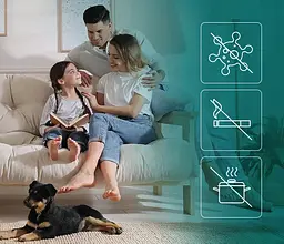 Озонатор повітря Tokachi PRO 40 000 Мг/час + таймер - мініатюра 7