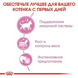 Вологий корм для стерилізованих кошенят Royal Canin Kitten Sterilised шматочки в соусі 85 г - мініатюра 4