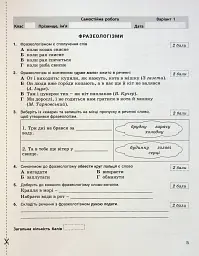 Українська мова. 6 клас. Контроль результатів навчання - Віктор Заболотний - мініатюра 4