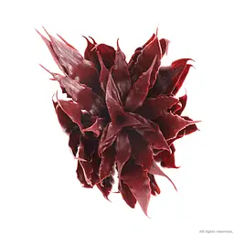 Штучна рослина Repti-Zoo Alternanthera Rosaefolia 20см (TP012) - мініатюра 2