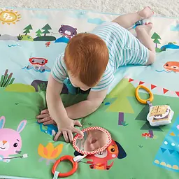 Розвиваючий килимок Fisher-Price Веселі пригоди (GXR53) - мініатюра 6