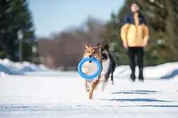 Кільце PitchDog (4823089302409) - мініатюра 2