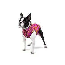 Курточка для собак Waudog Clothes малюнок Банани на рожевому XS22 В 33-36 см С 19-22 см - мініатюра 3
