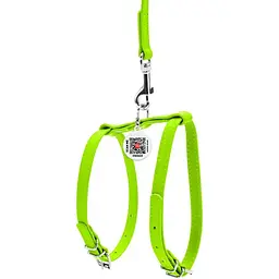 Шлея з повідцем для собак Waudog Glamour, шкіряна, з QR паспортом, 20-30х30-40х0,9/115 см, салатовий (33995) - мініатюра 2