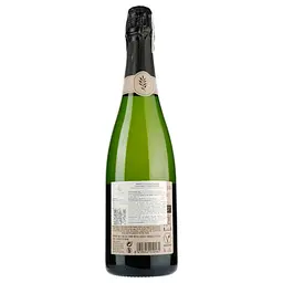 Ігристе вино Masachs Masia Salat Cava Brut Organic, біле, брют, 11,5%, 0,75 л - мініатюра 2