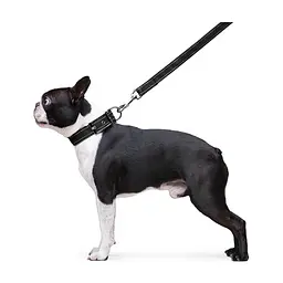 Повідець для собак Dog Extreme з нейлону подвійний Ш 20 мм Д 122 см чорний (42981) - мініатюра 5