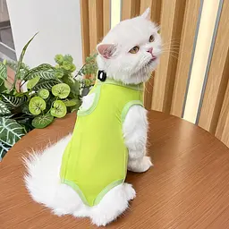 Одяг для котів після операції Holley Light Green S