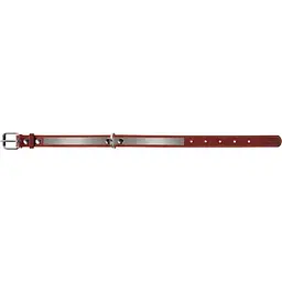 Нашийник Collar зі світловідбиваючою стрічкою, шкіра, 38-50х2,5 см, коричневий - мініатюра 4