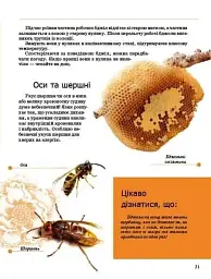Комахи та інші - Тетяна Жабська - мініатюра 8