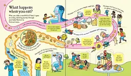 Look Inside What Happens When You Eat - Emily Bone, анг. мова (9781474952958) - мініатюра 2