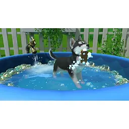 Гра Little Friends Puppy Island (англійська версія) (Nintendo Switch) - мініатюра 4
