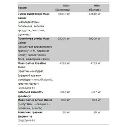 Гейнер Pure Gold Biг Mass Шоколадий фундук 3000 г - мініатюра 3