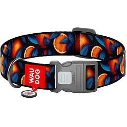 Нашийник для собак нейлоновий Waudog Nylon з QR паспортом малюнок Апельсини L 