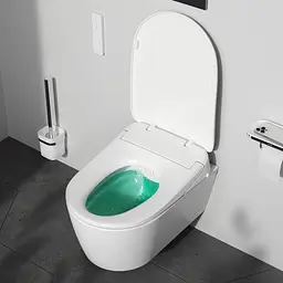 Унітаз підвісний AM.PM Func FlashClean з електронною кришкою-біде зі прихованою підводкою white C8F1702SC - мініатюра 3