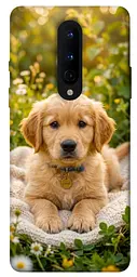 TPU чехол Demsky Small labradore для OnePlus 8