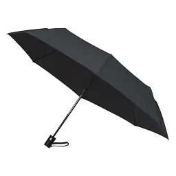 Зонтик Economix Promo Storm складной, автомат, черный (E98403-01)