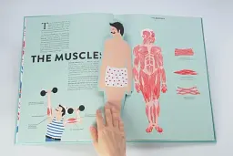 Anatomy. A Cutaway Look Inside the Human Body - мініатюра 2